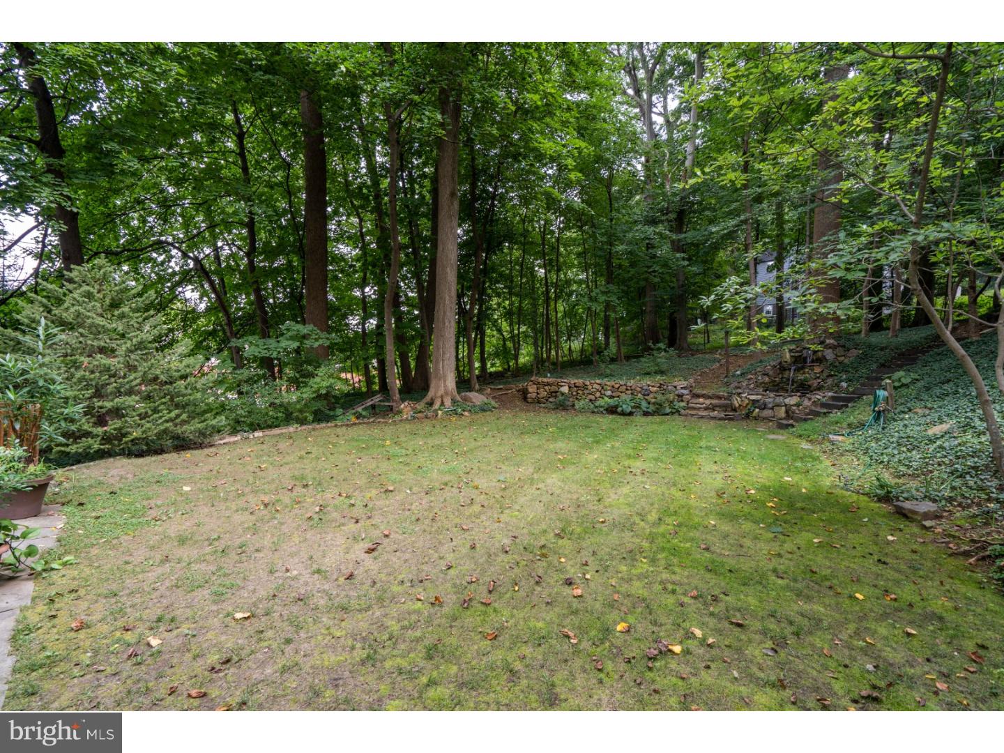 324 Harbison Road Wayne, PA 19087 - Photo 23 of 25 Side Yard