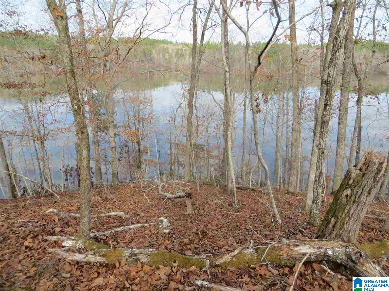 Lot 7 Eagle Mountain Road, Unit 7 Alexander City, AL 35010 - Photo 4 of 7