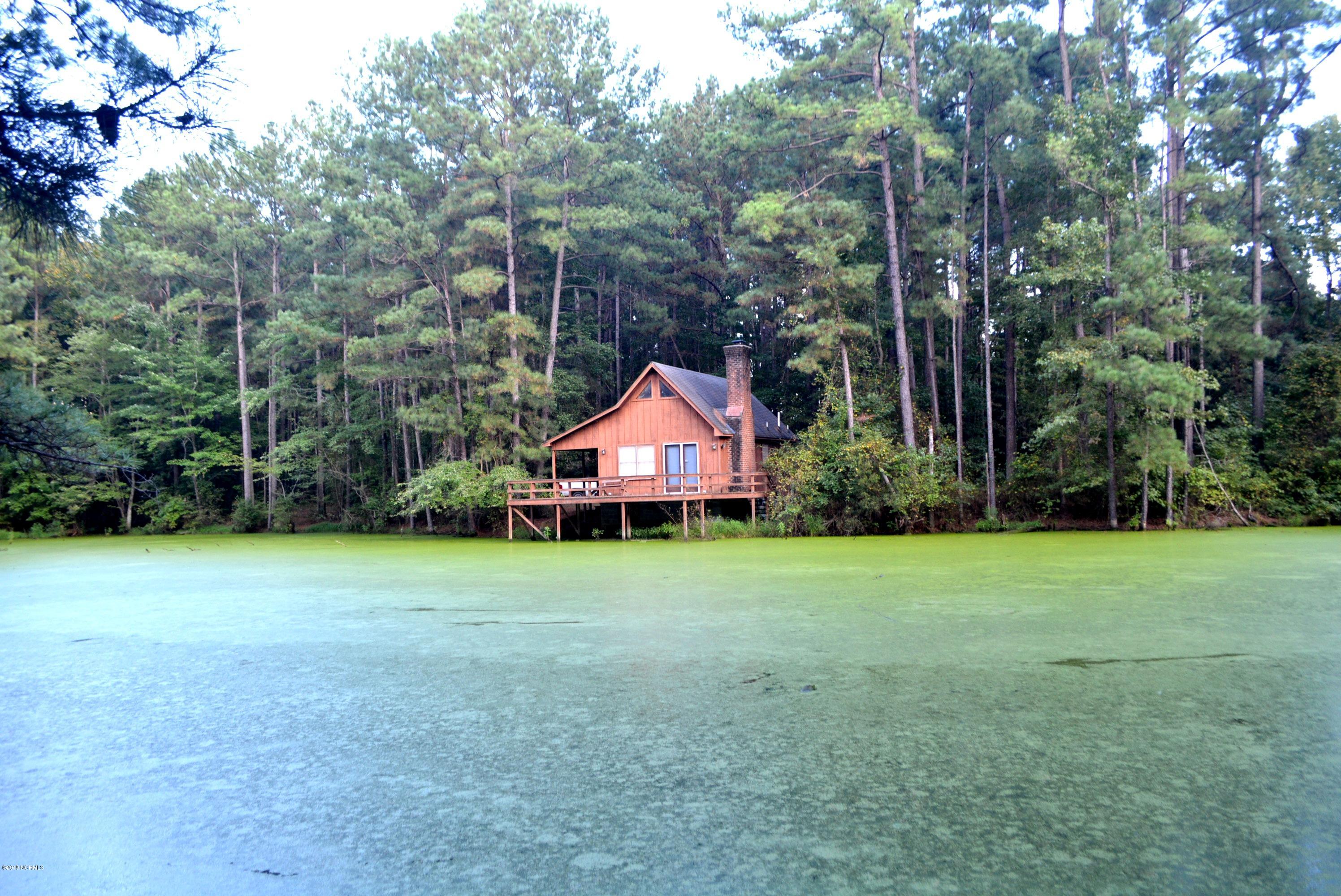 5570 Lancaster Store Road Spring Hope, NC 27882 - Photo 6 of 8 Cabin on property