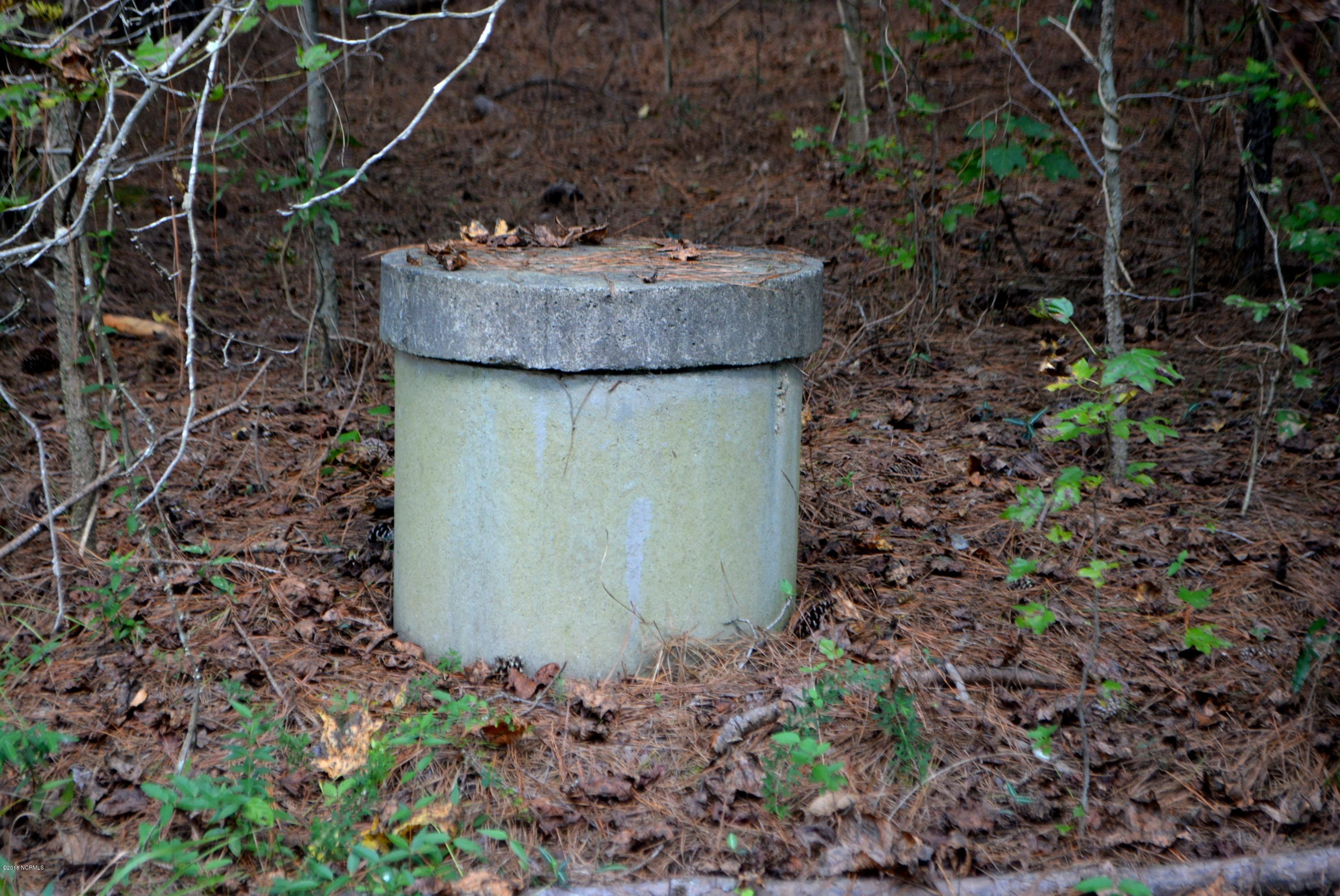 5570 Lancaster Store Road Spring Hope, NC 27882 - Photo 7 of 8 032