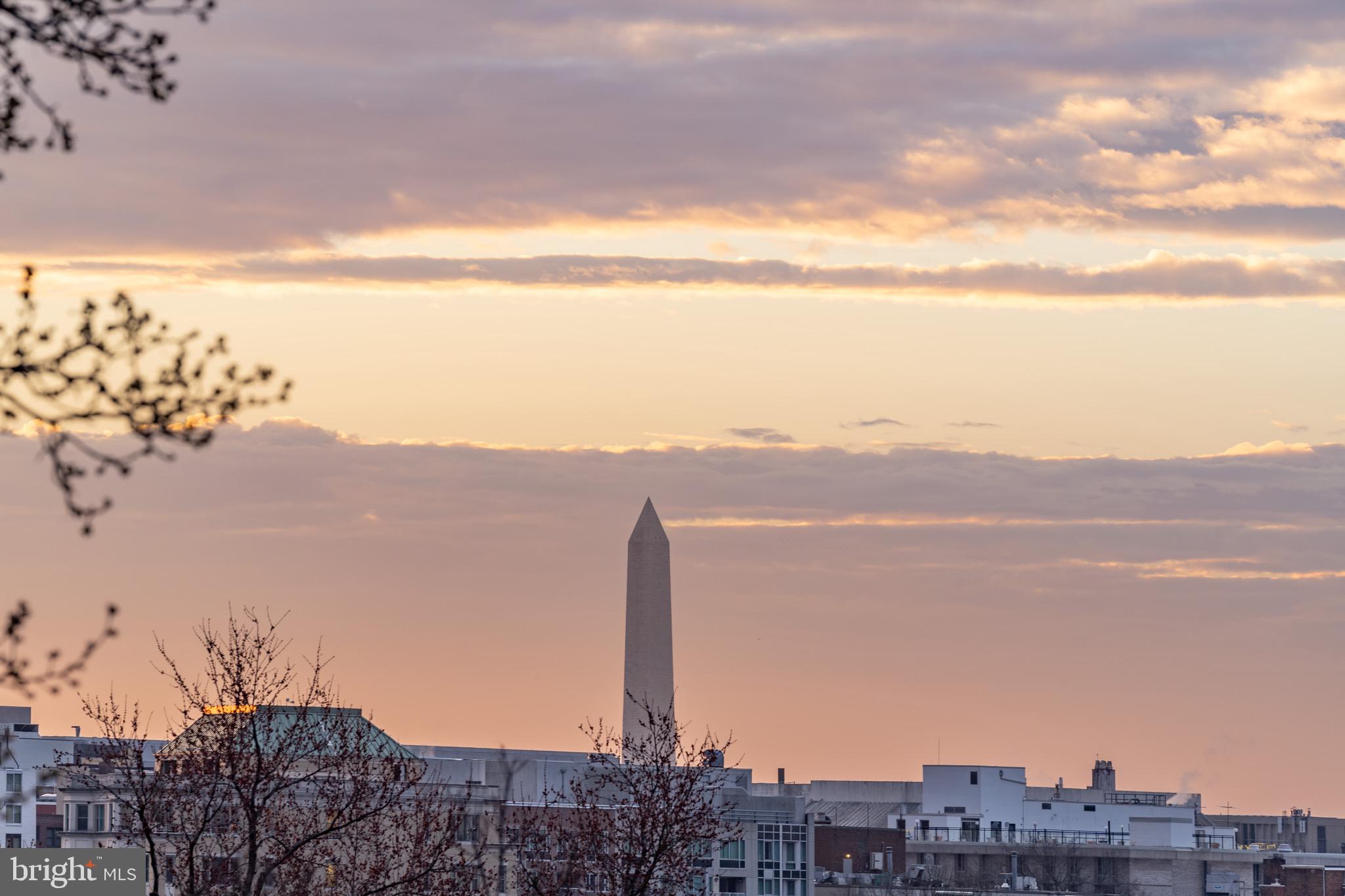 3003 N Street Northwest Washington, DC 20007 - Photo 81 of 127 View from terrace