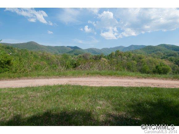 276 Critter Creek Road Canton, NC 28716 - Photo 8 of 24 Gallery Image 8