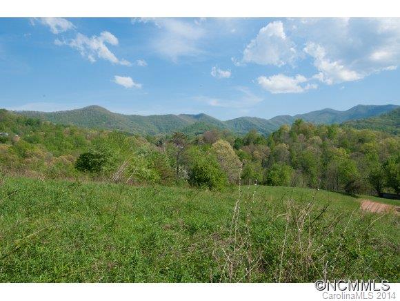 276 Critter Creek Road Canton, NC 28716 - Photo 10 of 24 Gallery Image 10