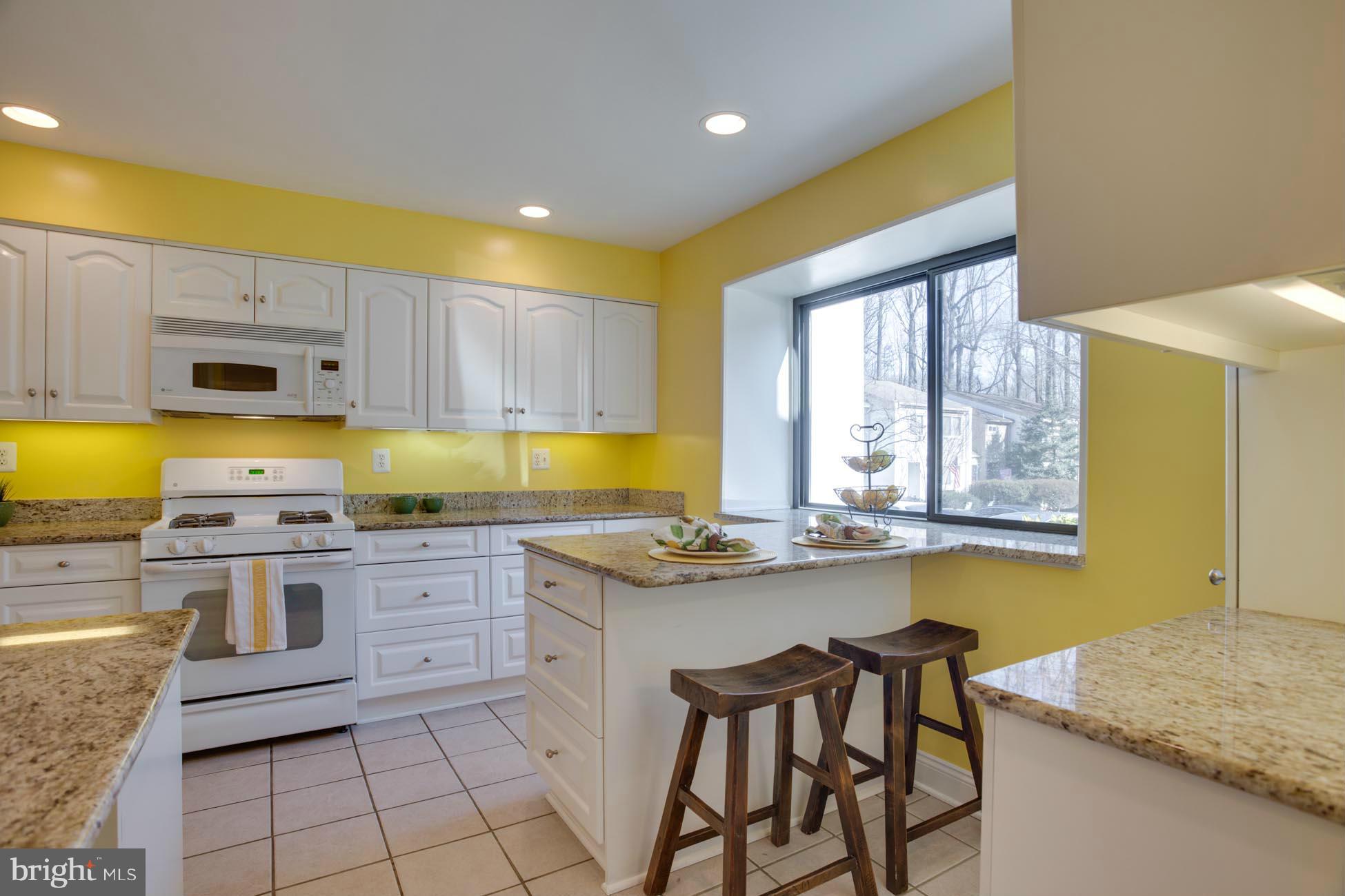 2350 Generation Drive Reston, VA 20191 - Photo 3 of 24 Kitchen
