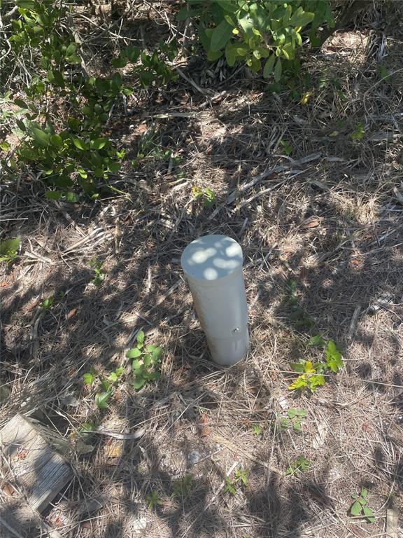 Pointe Way Boca Grande, FL 33921 - Photo 11 of 13 a view of a bathtub in a garden