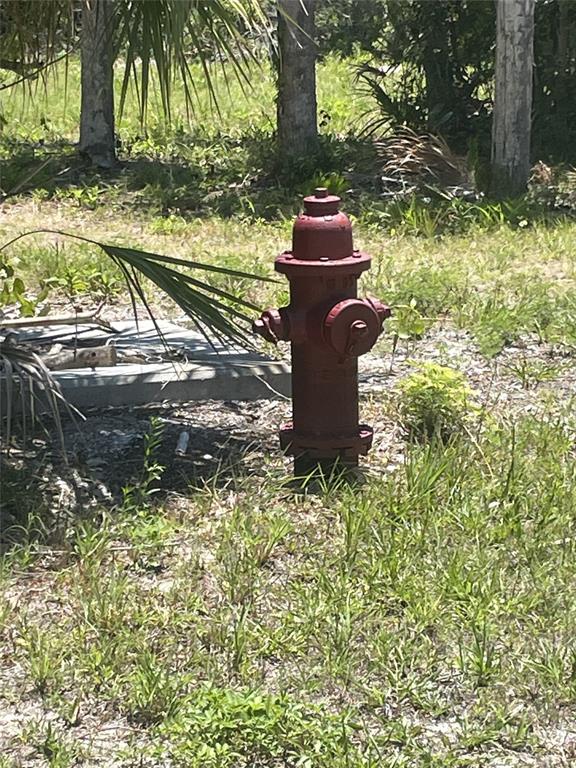 Pointe Way Boca Grande, FL 33921 - Photo 12 of 13 a view of a yard with plants
