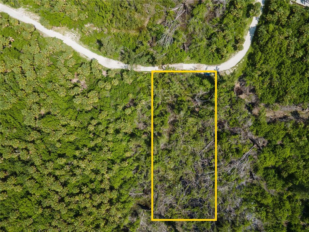 Pointe Way Boca Grande, FL 33921 - Photo 8 of 13 a close up of a plant in a garden