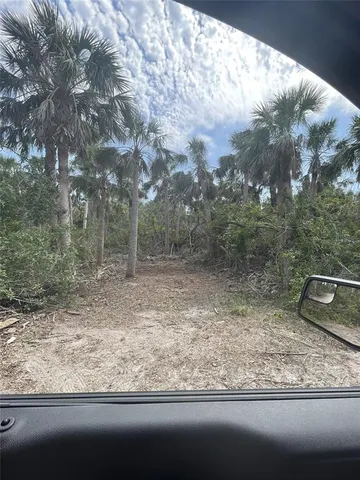 a view of a bathtub in a garden