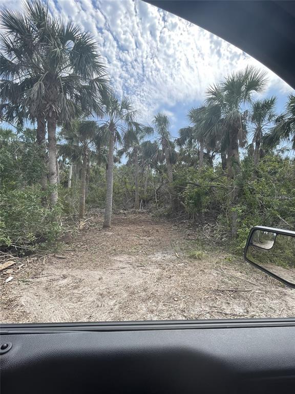 Pointe Way Boca Grande, FL 33921 - Photo 10 of 13 a view of a yard with a tree