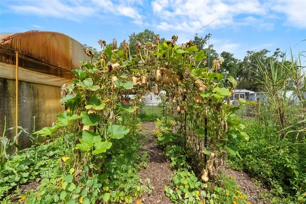 $2,000,000 | 2026 Lewis Road, Leesburg, FL 34748