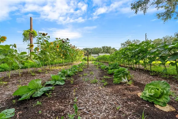 $2,000,000 | 2026 Lewis Road, Leesburg, FL 34748