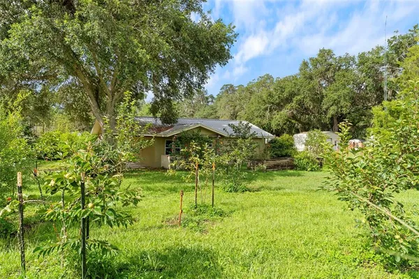 $2,000,000 | 2026 Lewis Road, Leesburg, FL 34748
