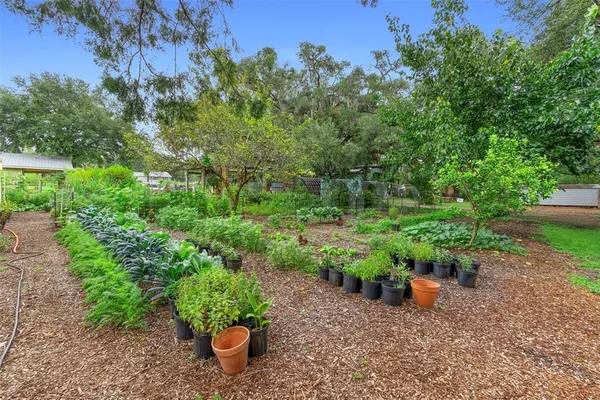 $2,000,000 | 2026 Lewis Road, Leesburg, FL 34748