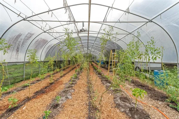 $2,000,000 | 2026 Lewis Road, Leesburg, FL 34748