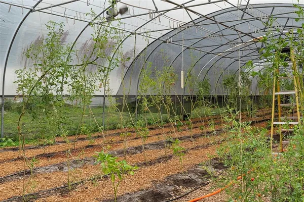 $2,000,000 | 2026 Lewis Road, Leesburg, FL 34748