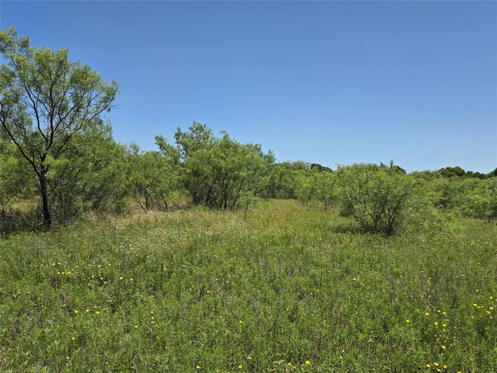 1000 County Road 375 Rising Star, TX 76471 - Photo 20 of 40