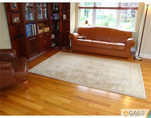 53 Potomac Road Monmouth Junction, NJ 08852 - Photo 4 of 10 Gallery Image 4