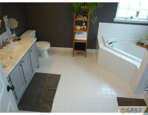 53 Potomac Road Monmouth Junction, NJ 08852 - Photo 10 of 10 Gallery Image 10
