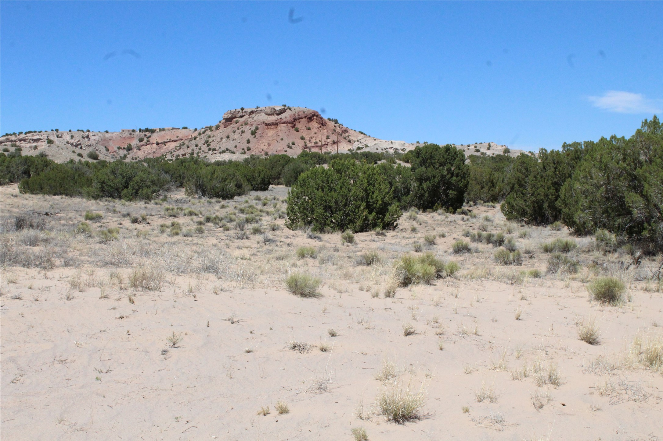 Tbd Tbd Bean Creek Road Abiquiu, NM 87510 - Photo 9 of 22