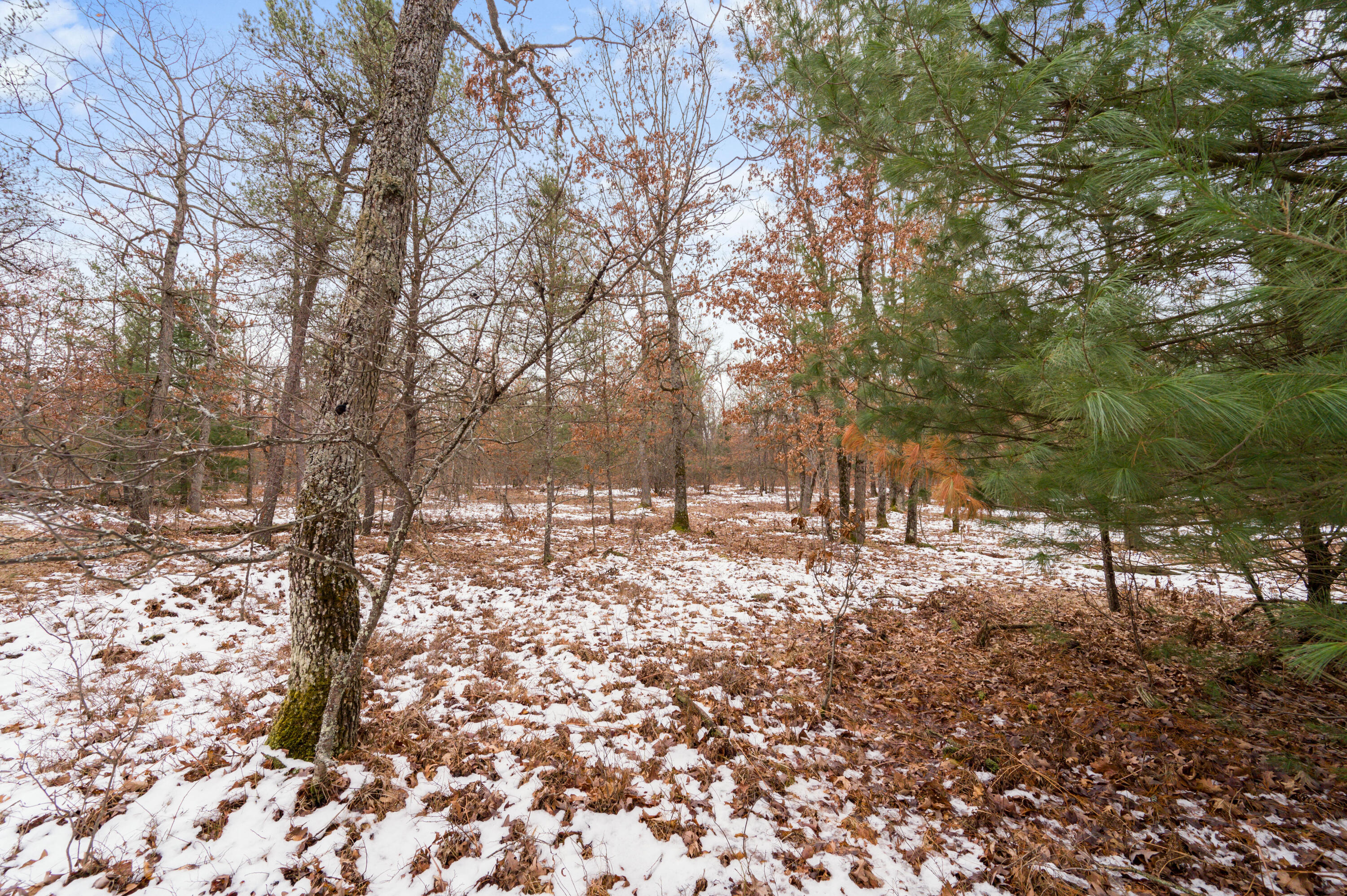 6960 North James Road Irons, MI 49644 - Photo 24 of 29 6960-JamesRd-Irons-25