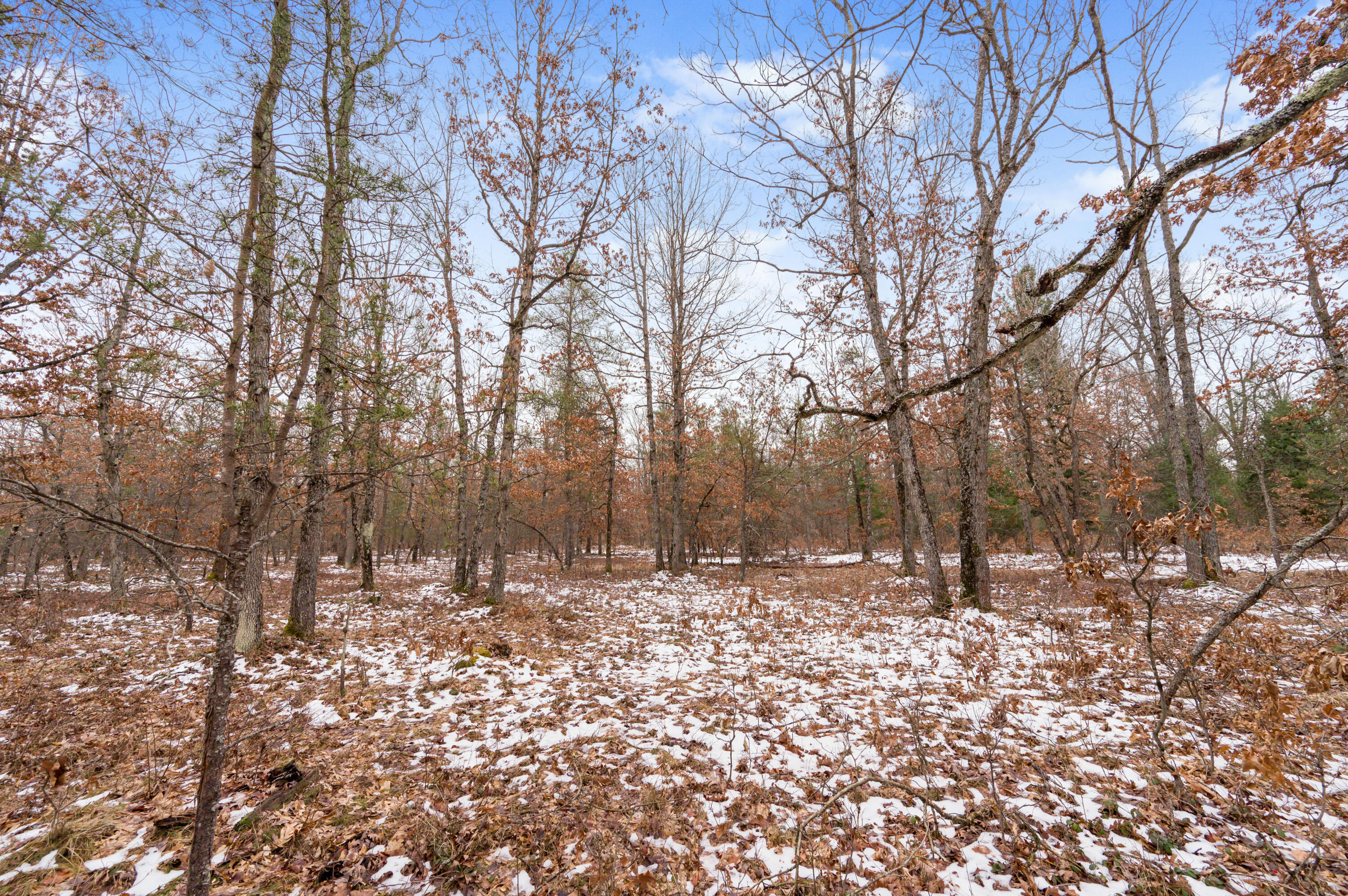 6960 North James Road Irons, MI 49644 - Photo 25 of 29 6960-JamesRd-Irons-26