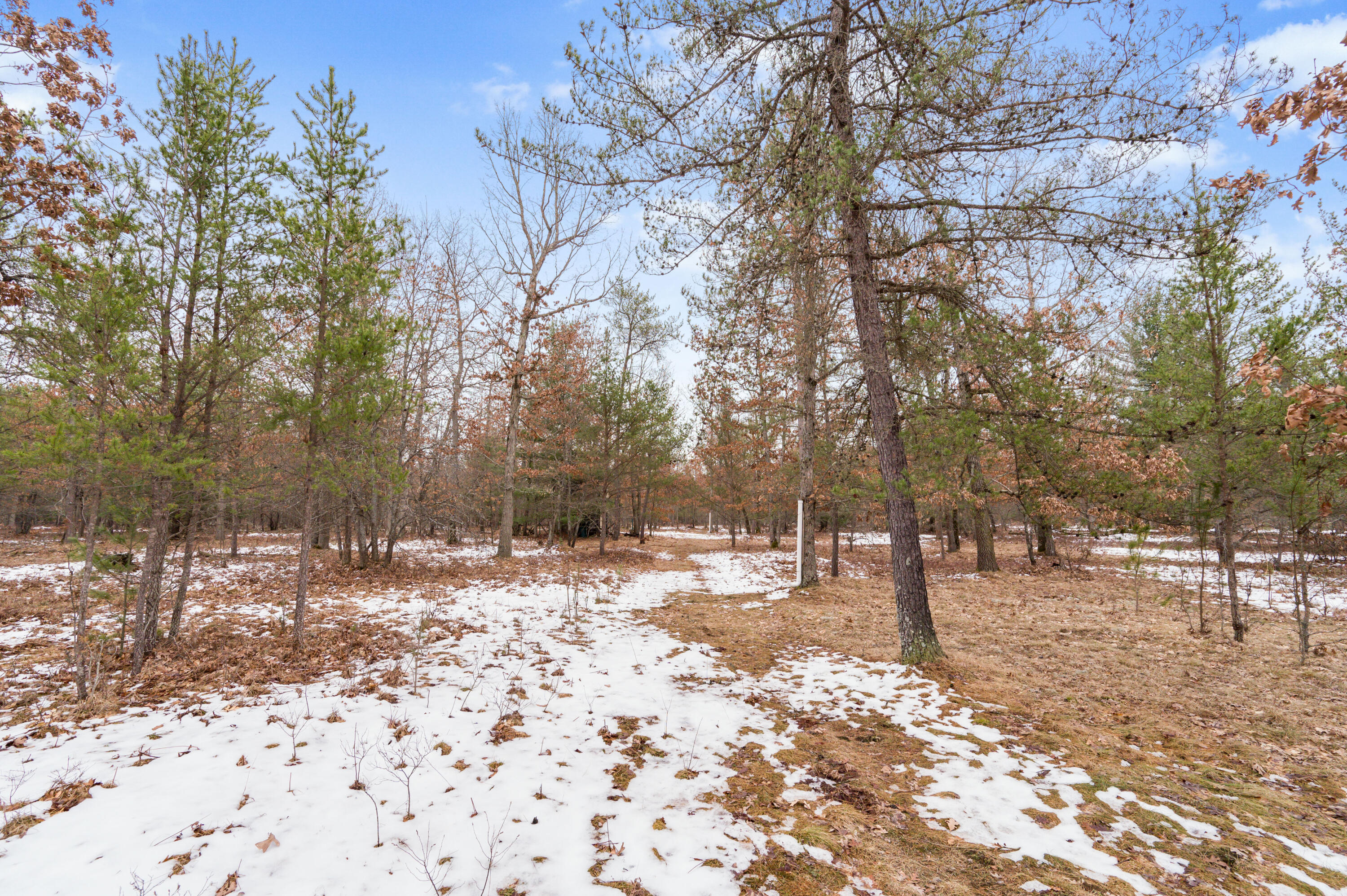 6960 North James Road Irons, MI 49644 - Photo 26 of 29 6960-JamesRd-Irons-20