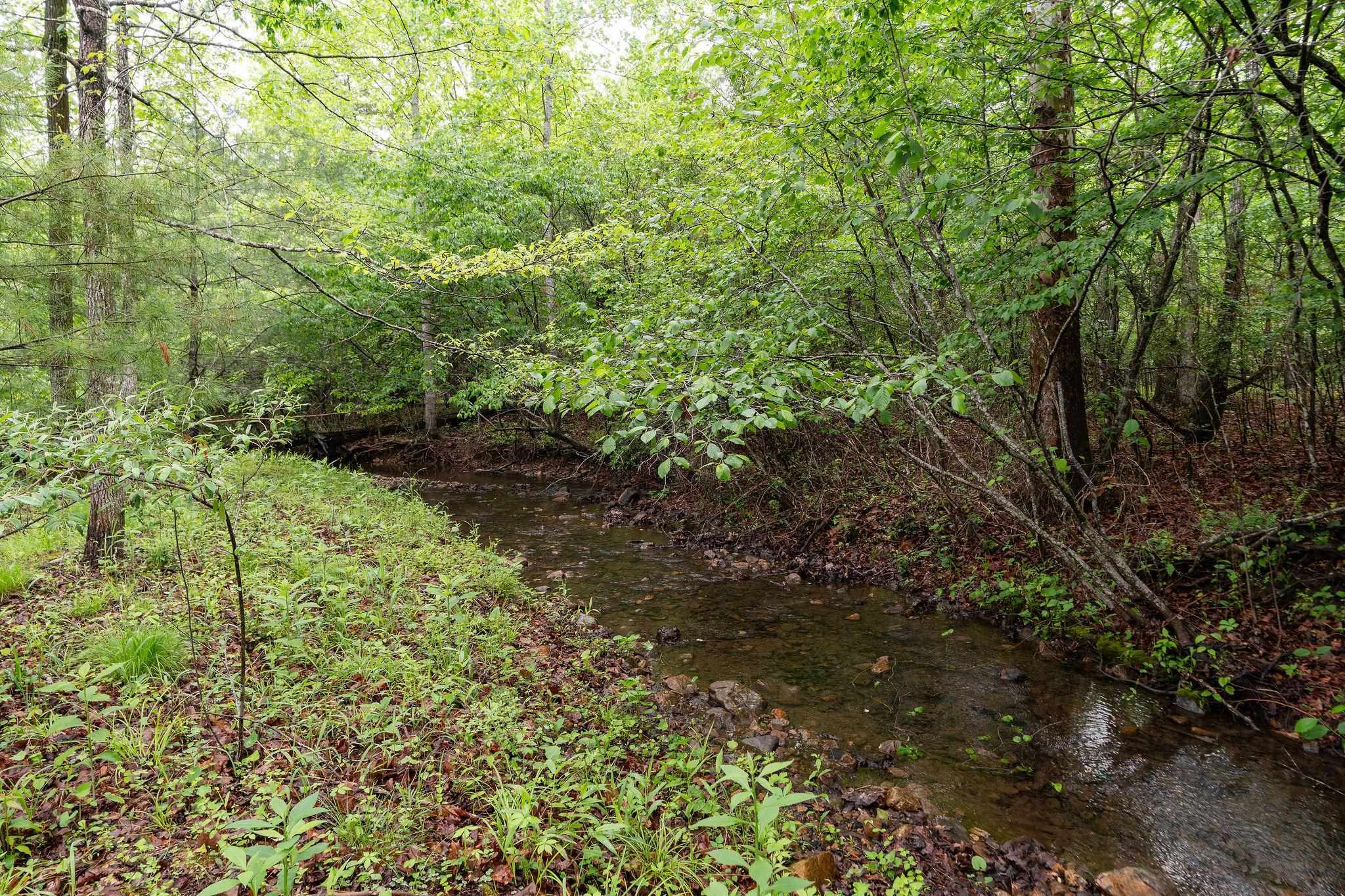 516 Estaline Valley Road Craigsville, VA 24430 - Photo 59 of 75