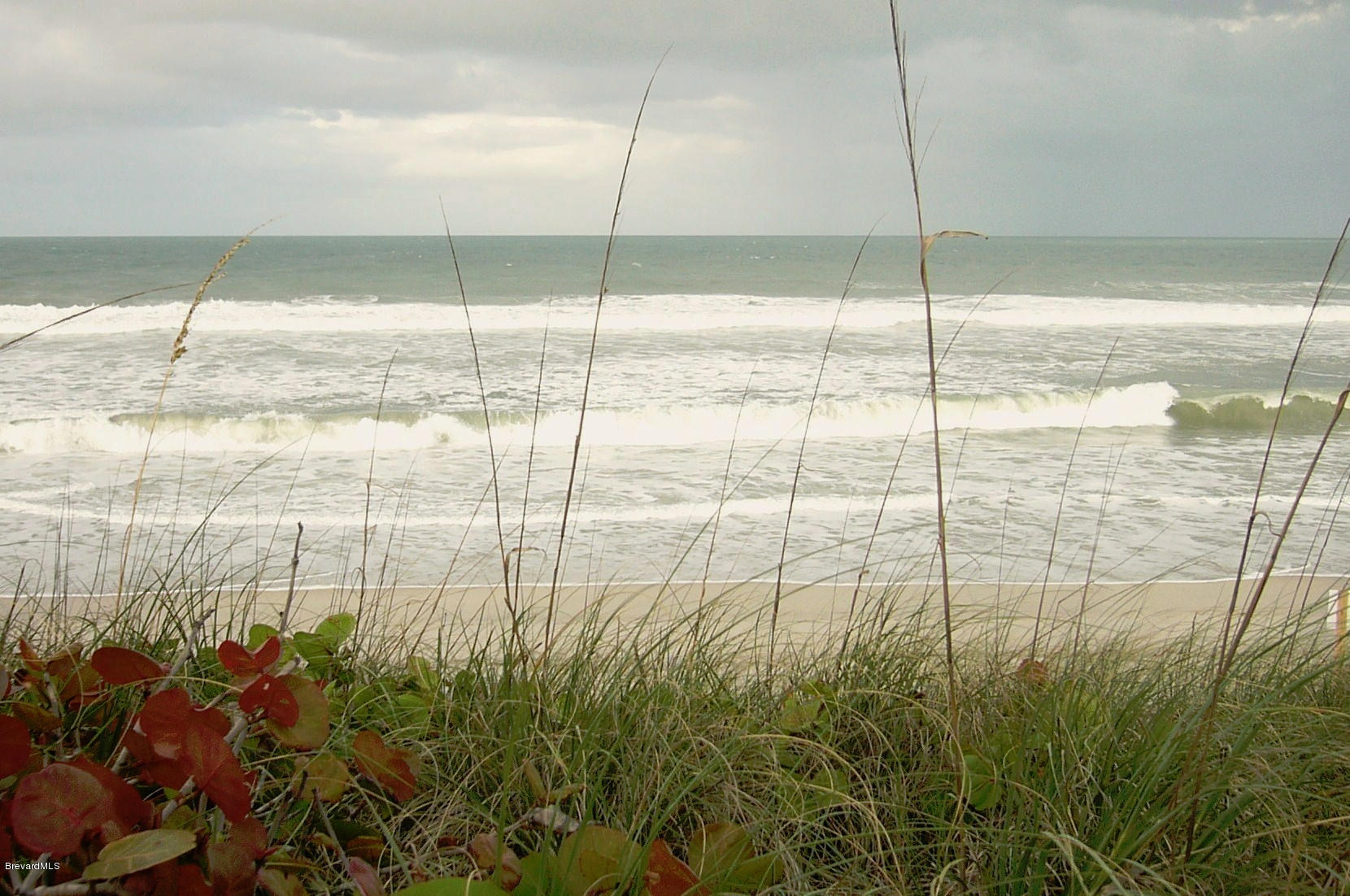 320 Riggs Avenue Melbourne Beach, FL 32951 - Photo 23 of 24 Beautiful Beach