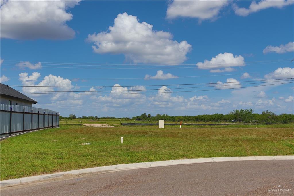 Lot 50 Pecan Street Alton, TX 78573 - Photo 3 of 8