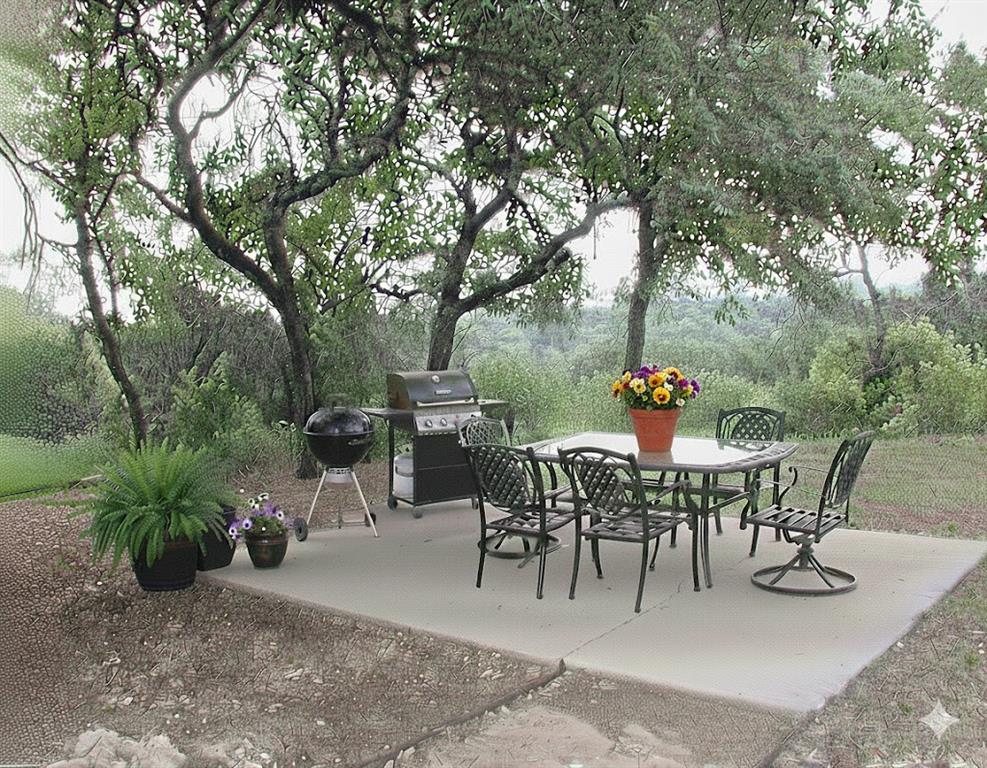 224 Cactus Ridge Court Springtown, TX 76082 - Photo 25 of 39 View of patio / terrace with outdoor dining space and area for grilling