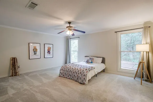 a living room with a bed furniture and a window