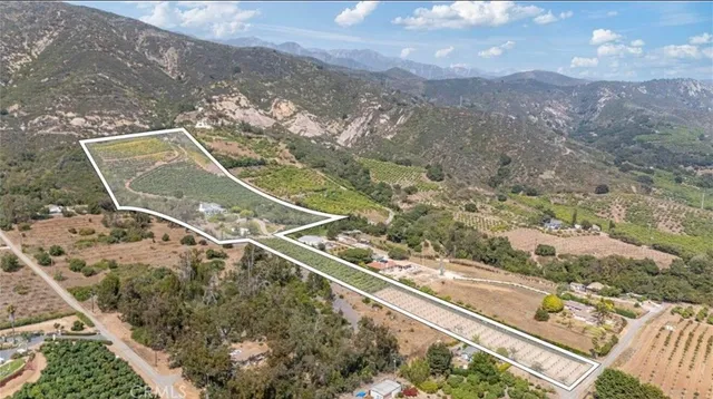 a view of a pathway both side of building