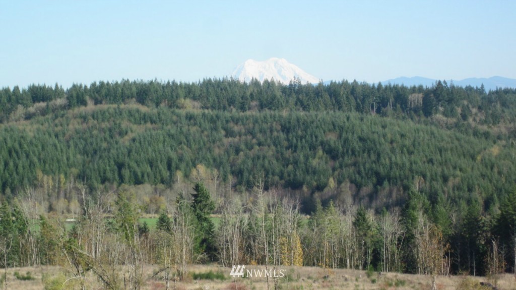 -lot 4 Pleasant Valley Road Adna, WA 98522 - Photo 14 of 24 Gallery Image 14