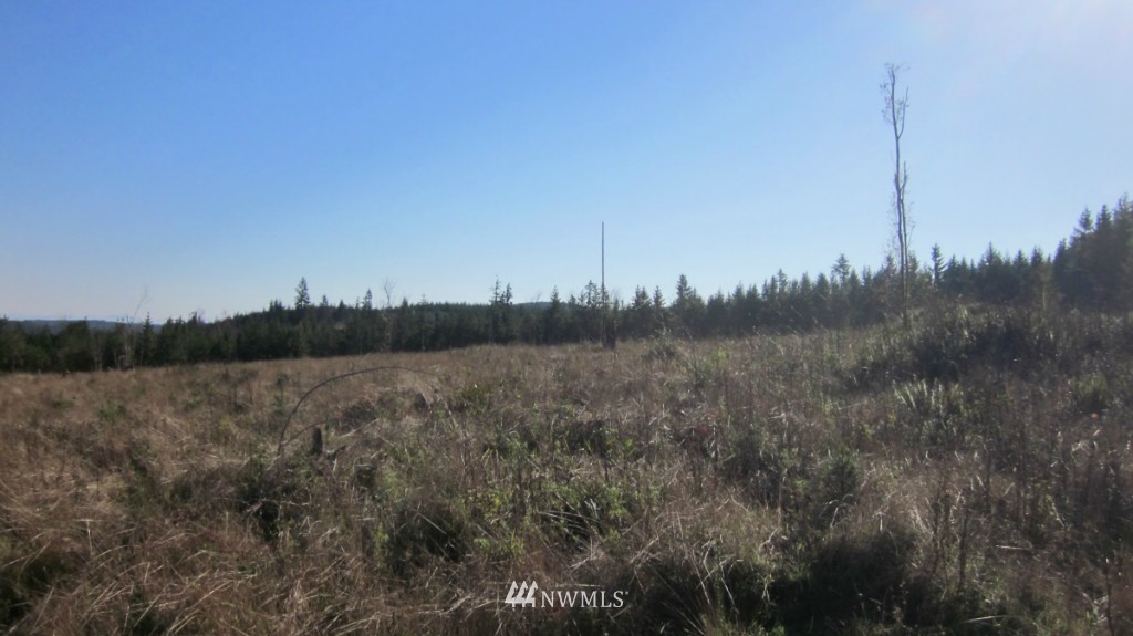 -lot 4 Pleasant Valley Road Adna, WA 98522 - Photo 17 of 24 Gallery Image 17
