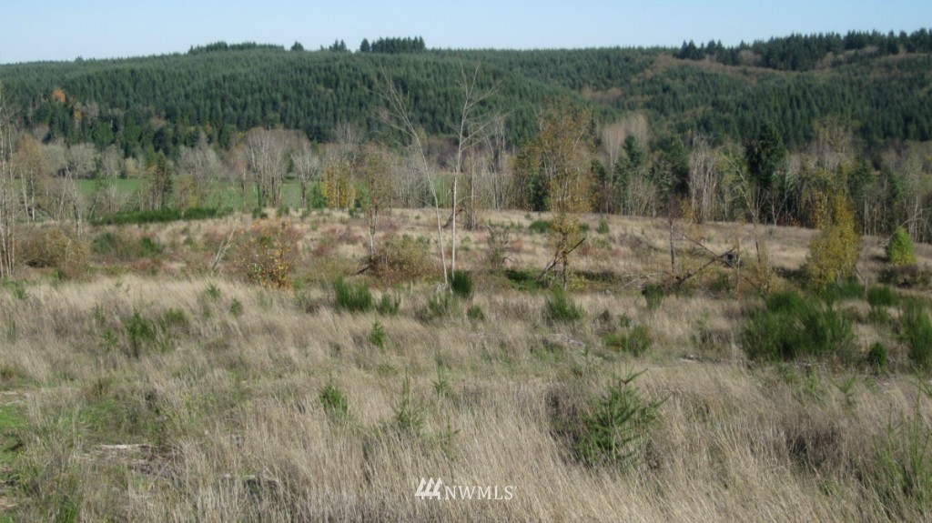 -lot 4 Pleasant Valley Road Adna, WA 98522 - Photo 20 of 24 Gallery Image 20