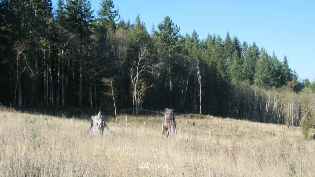 -lot 4 Pleasant Valley Road Adna, WA 98522 - Photo 23 of 24 Gallery Image 23