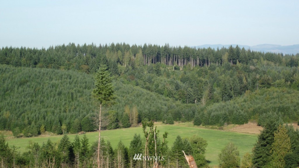 -lot 4 Pleasant Valley Road Adna, WA 98522 - Photo 8 of 24 Gallery Image 8