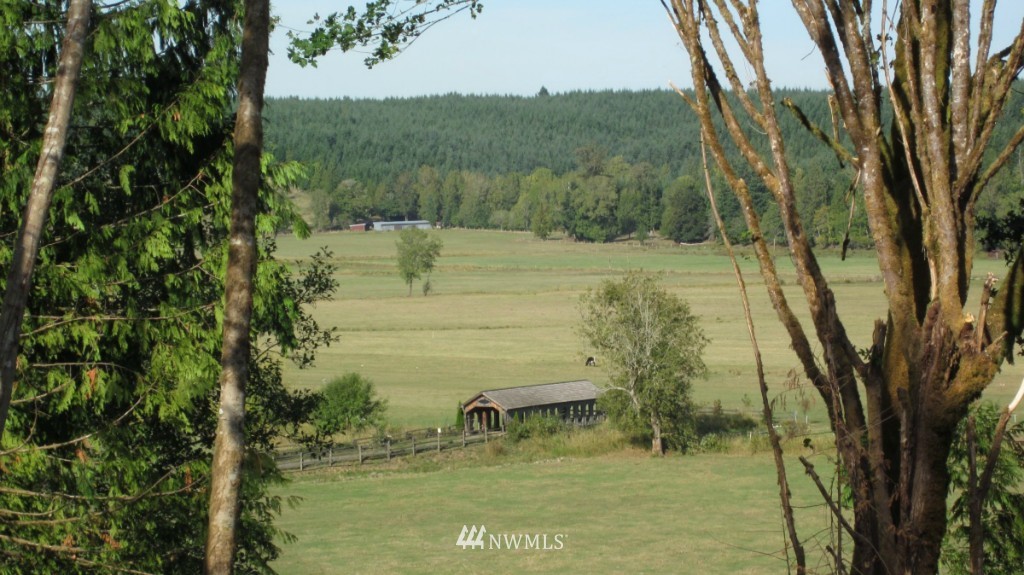 -lot 4 Pleasant Valley Road Adna, WA 98522 - Photo 9 of 24 Gallery Image 9