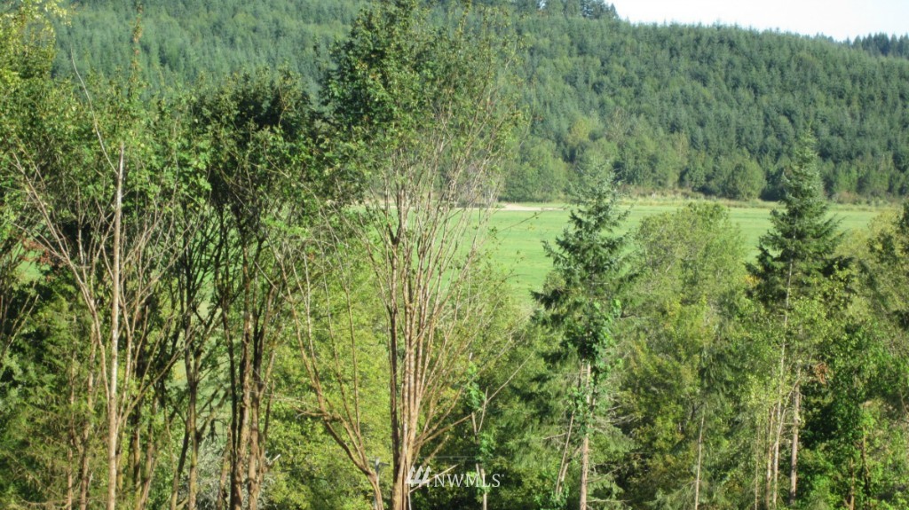 -lot 4 Pleasant Valley Road Adna, WA 98522 - Photo 10 of 24 Gallery Image 10