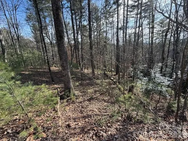 a view of outdoor space with lots of trees