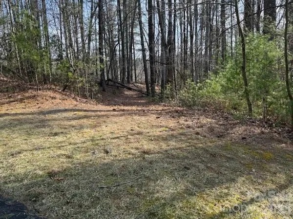 a view of backyard with green space