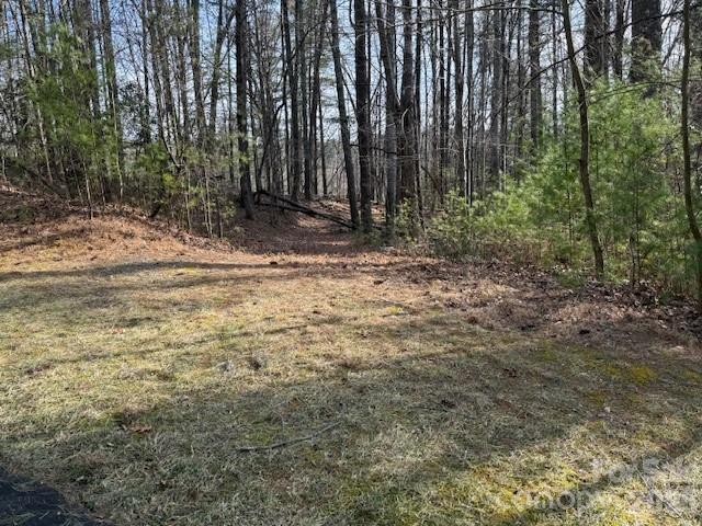 7 Settlement Ridge Drive Marion, NC 28752 - Photo 3 of 24 a view of backyard with green space