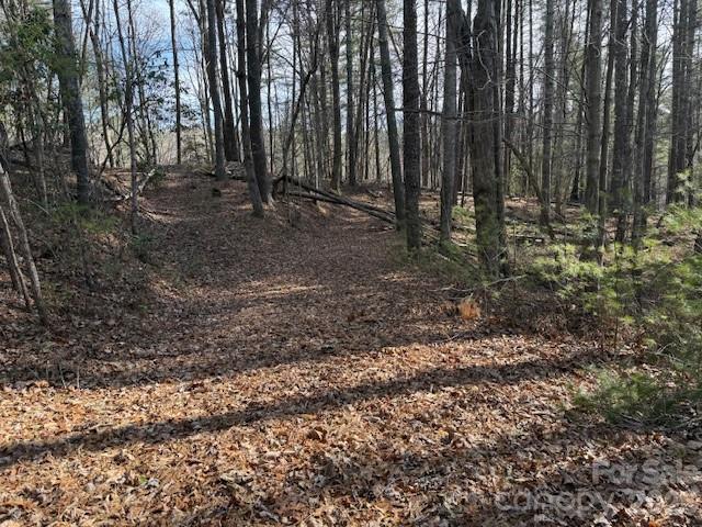 7 Settlement Ridge Drive Marion, NC 28752 - Photo 4 of 24 a view of outdoor space with trees