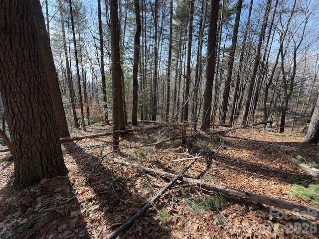 7 Settlement Ridge Drive Marion, NC 28752 - Photo 5 of 24 a view of outdoor space with deck and yard