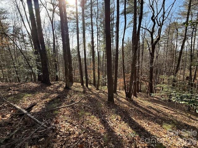 7 Settlement Ridge Drive Marion, NC 28752 - Photo 7 of 24 a view of a backyard of the house
