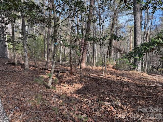 7 Settlement Ridge Drive Marion, NC 28752 - Photo 9 of 24 a backyard of a house with lots of green space