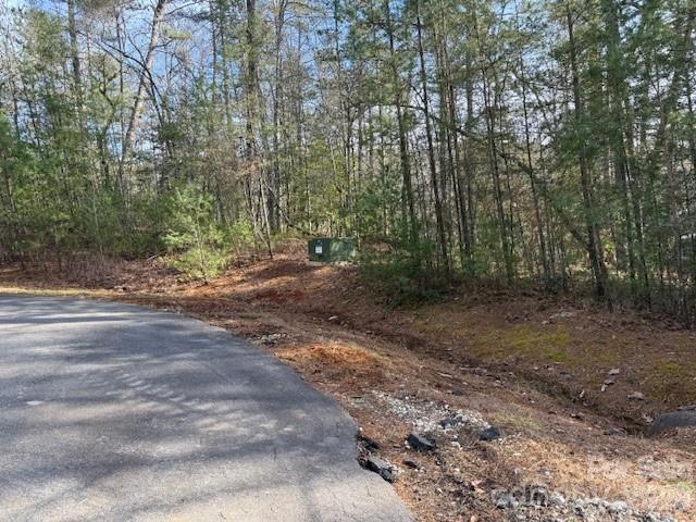 7 Settlement Ridge Drive Marion, NC 28752 - Photo 10 of 24 a view of a yard with trees in the background
