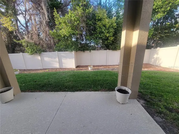 a view of a backyard with potted plants and a large tree