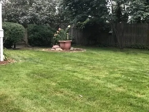 a view of a backyard with large trees and wooden fence