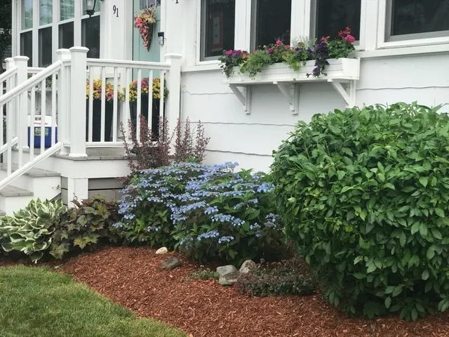a front view of a house with a yard and flower plants